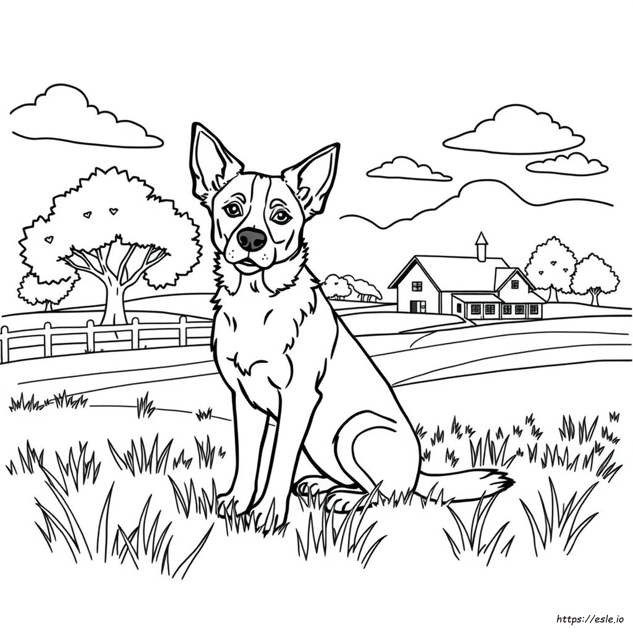 Blue Heeler Dapat Dicetak Halaman Mewarnai