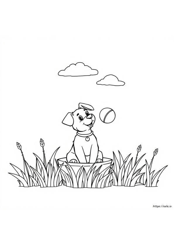Disegni Da Colorare: Cane Da Colorare