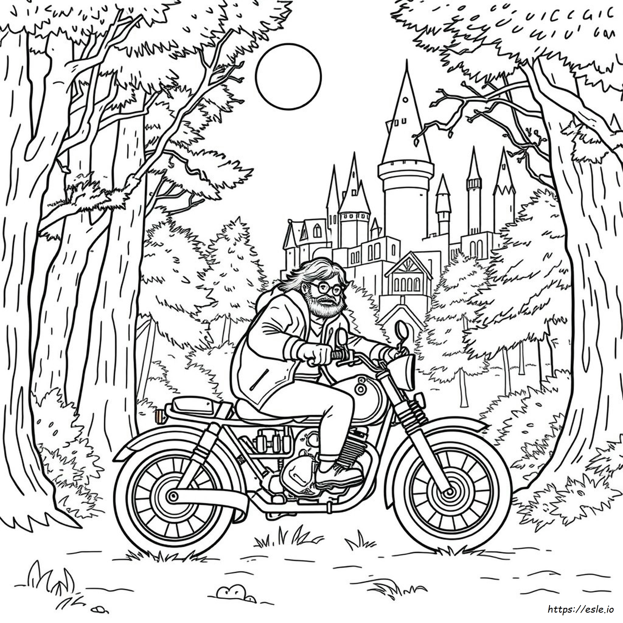 Hagrid Coloring Page - Free Printable