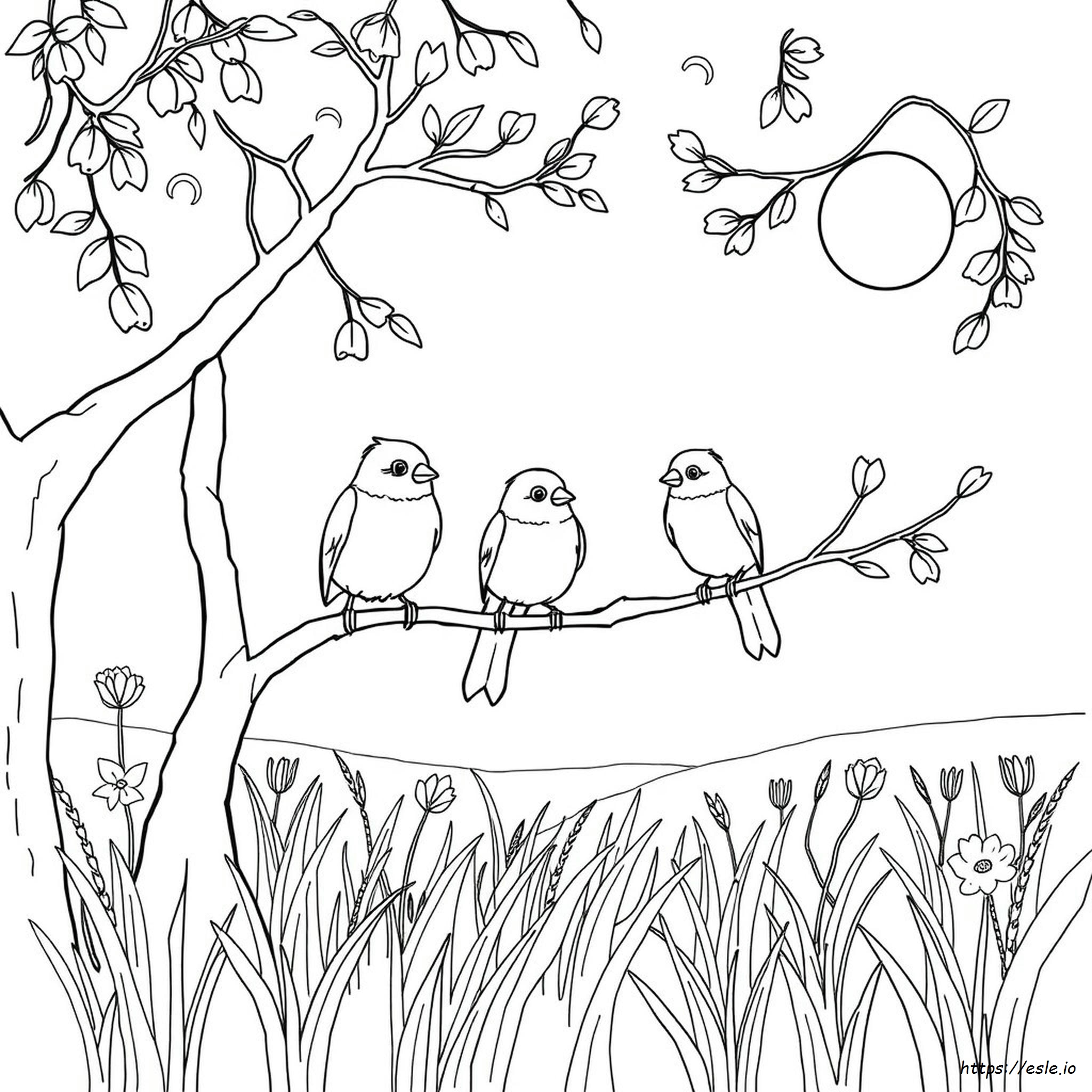 Free Printable Colouring Pages Birds for Kids