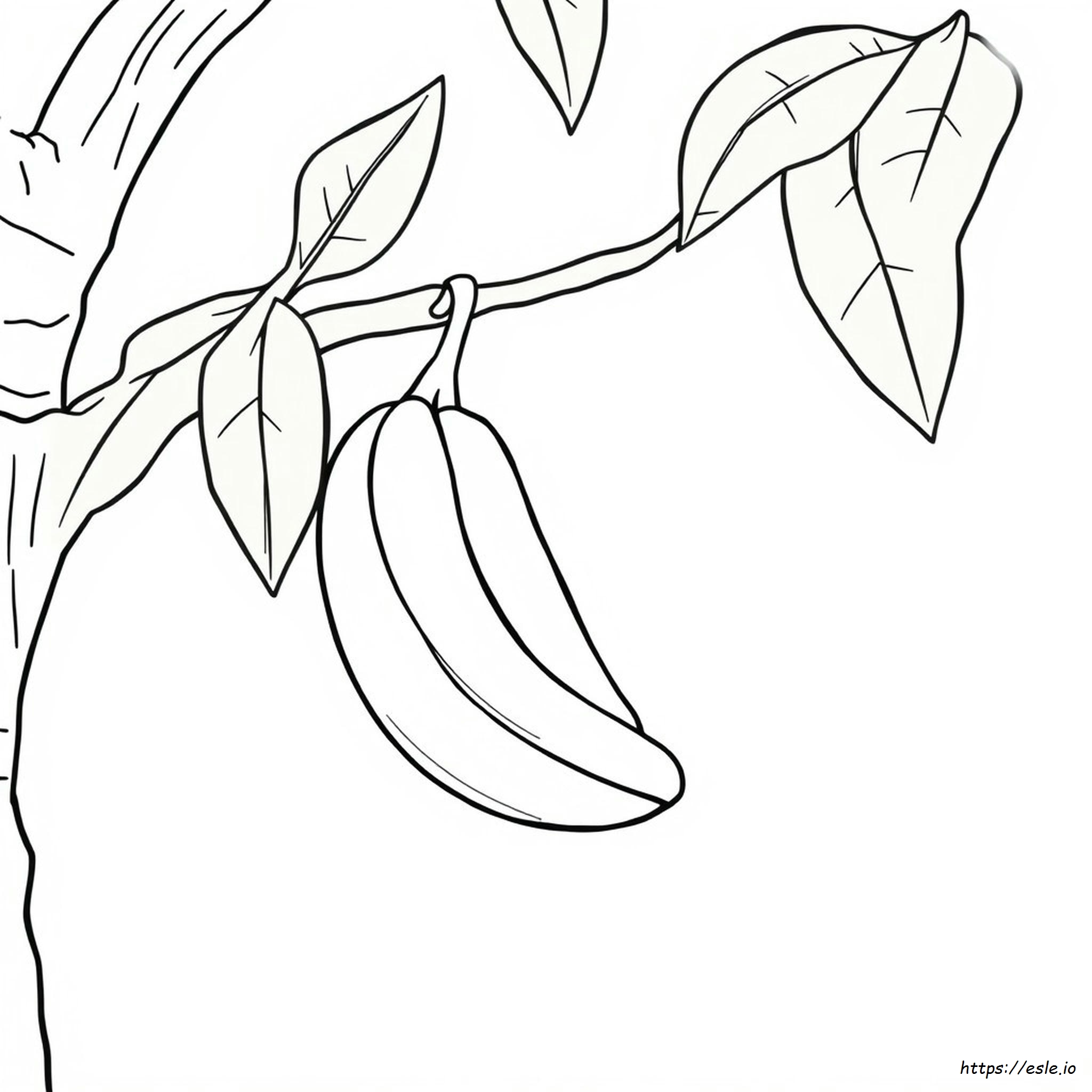 Free Printable Banana Coloring Pages for Preschoolers