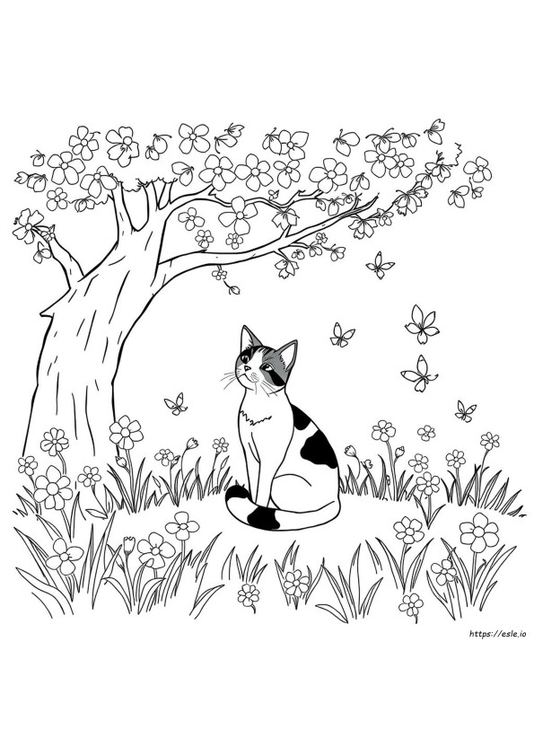 What Colour Is Calico