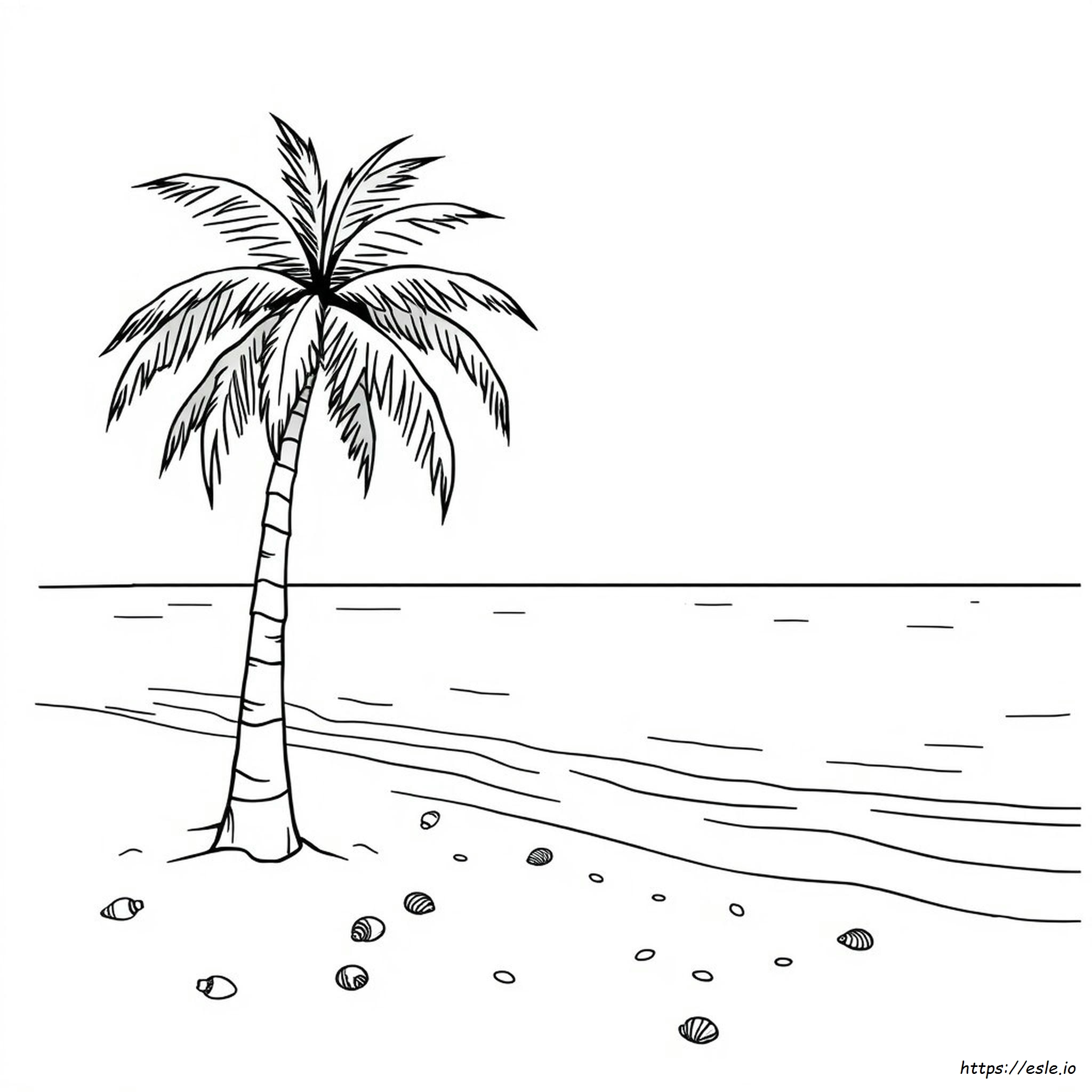 Palm Tree Coloring Pages For Adults