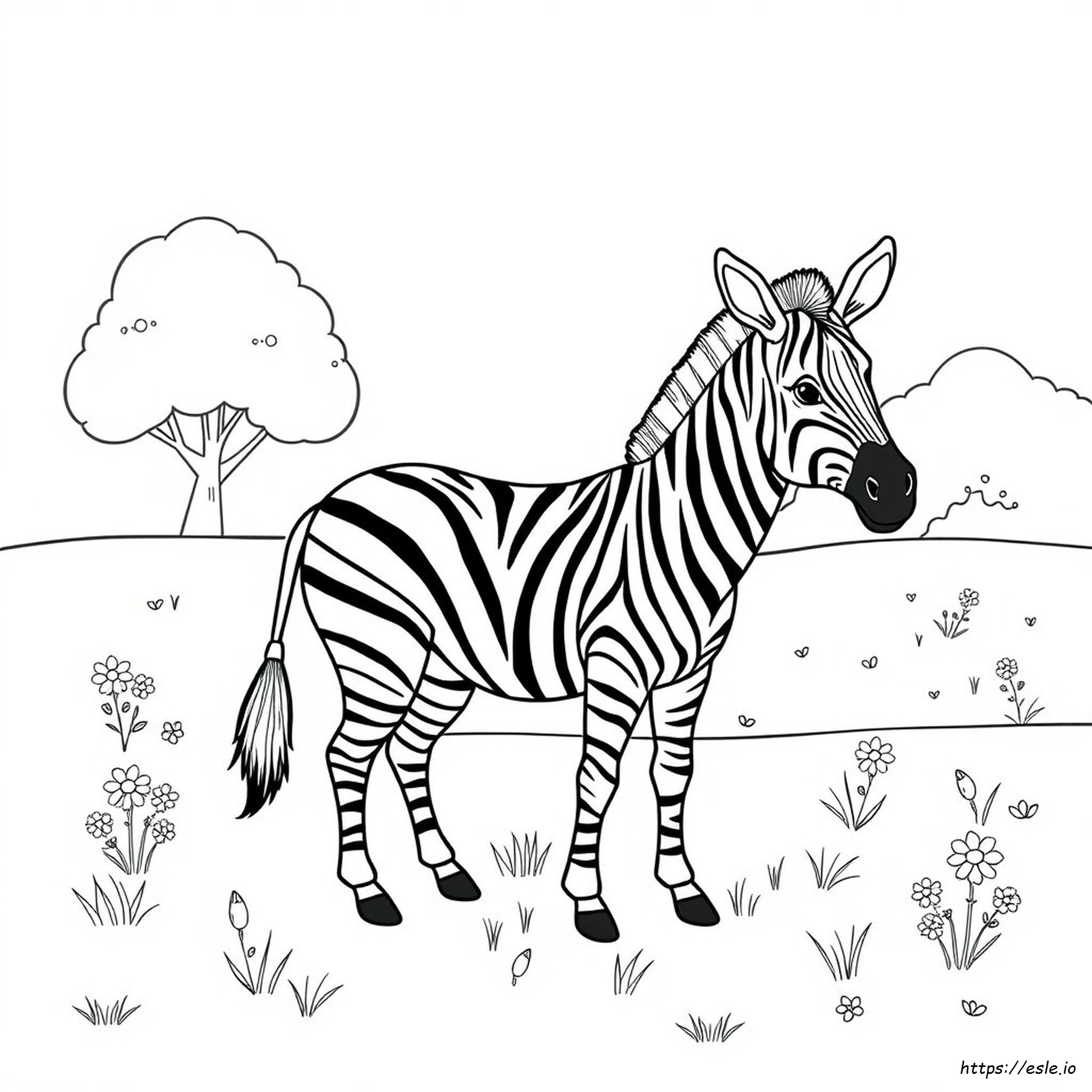 Zebra Coloring Page - Free Printable
