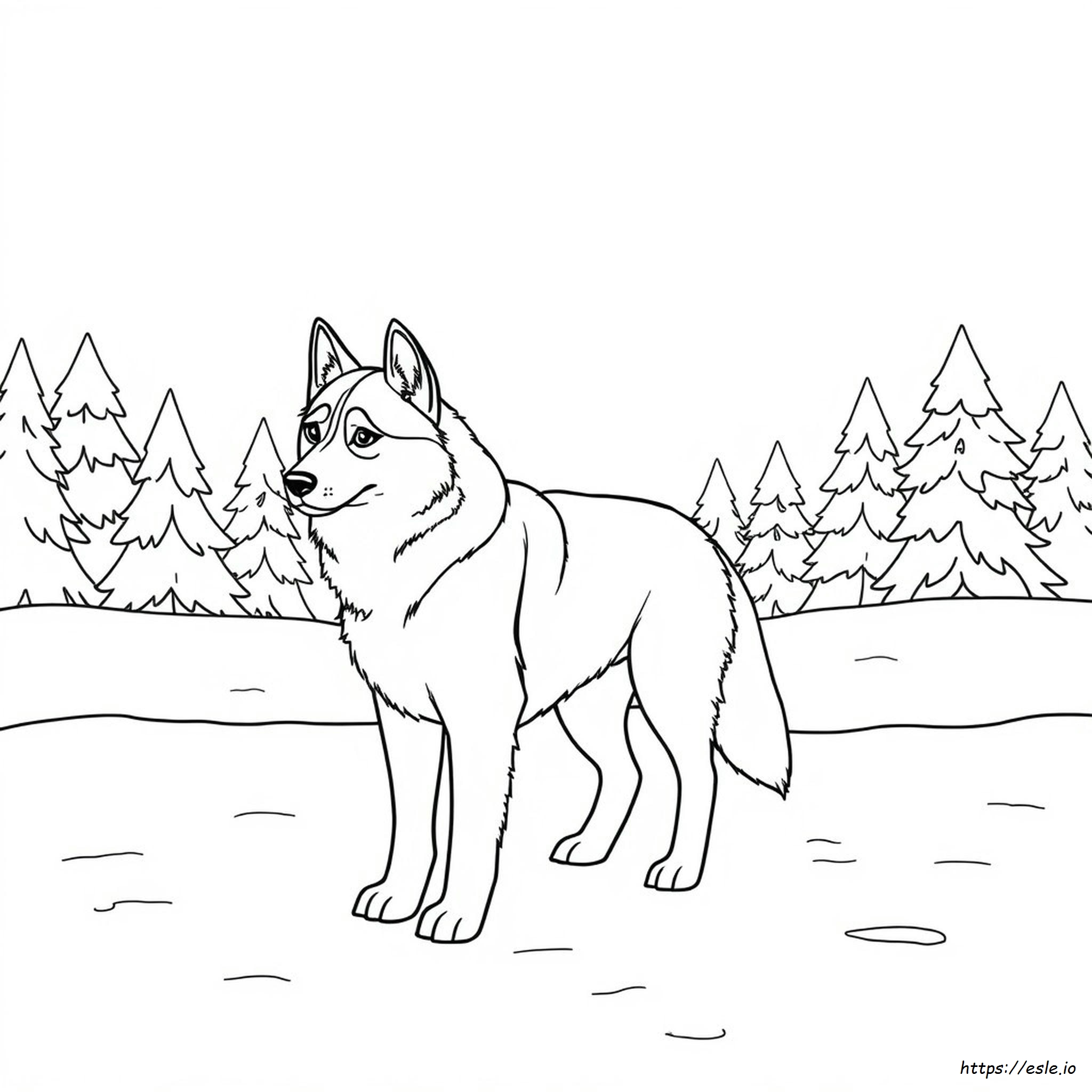 Husky Dog Coloring Page - Free Printable