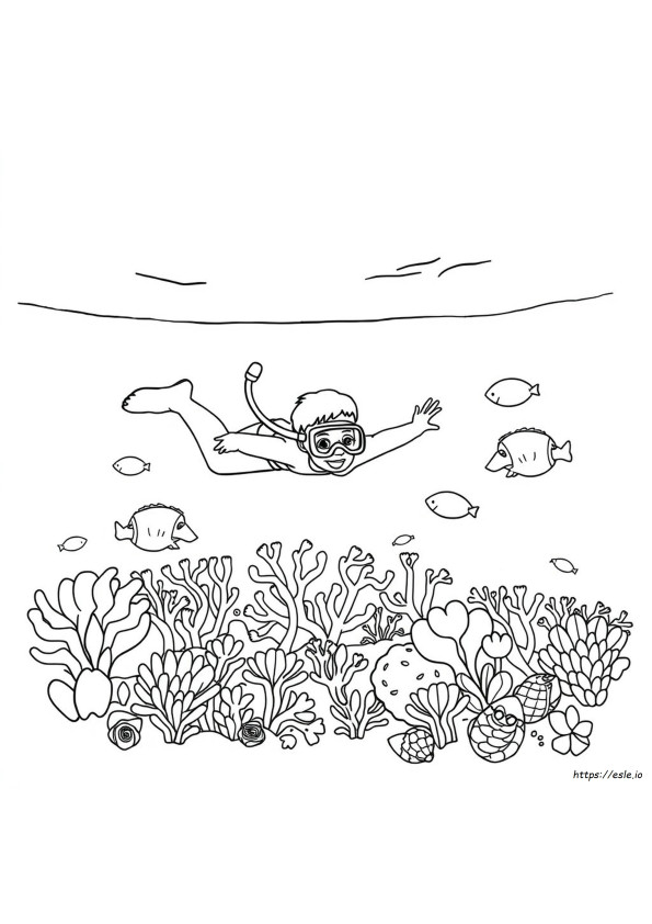 Páginas Para Colorear De Snorkel