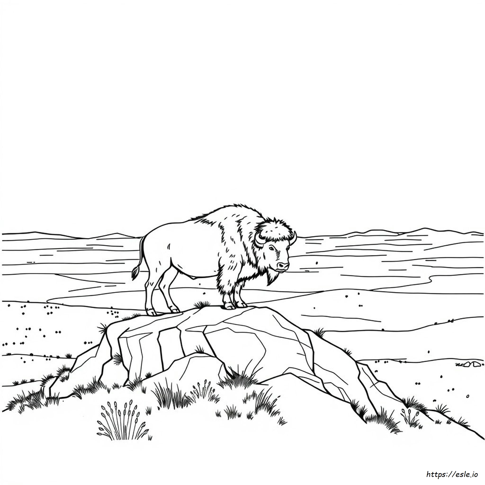 Montana Coloring Page - Free Printable PDF