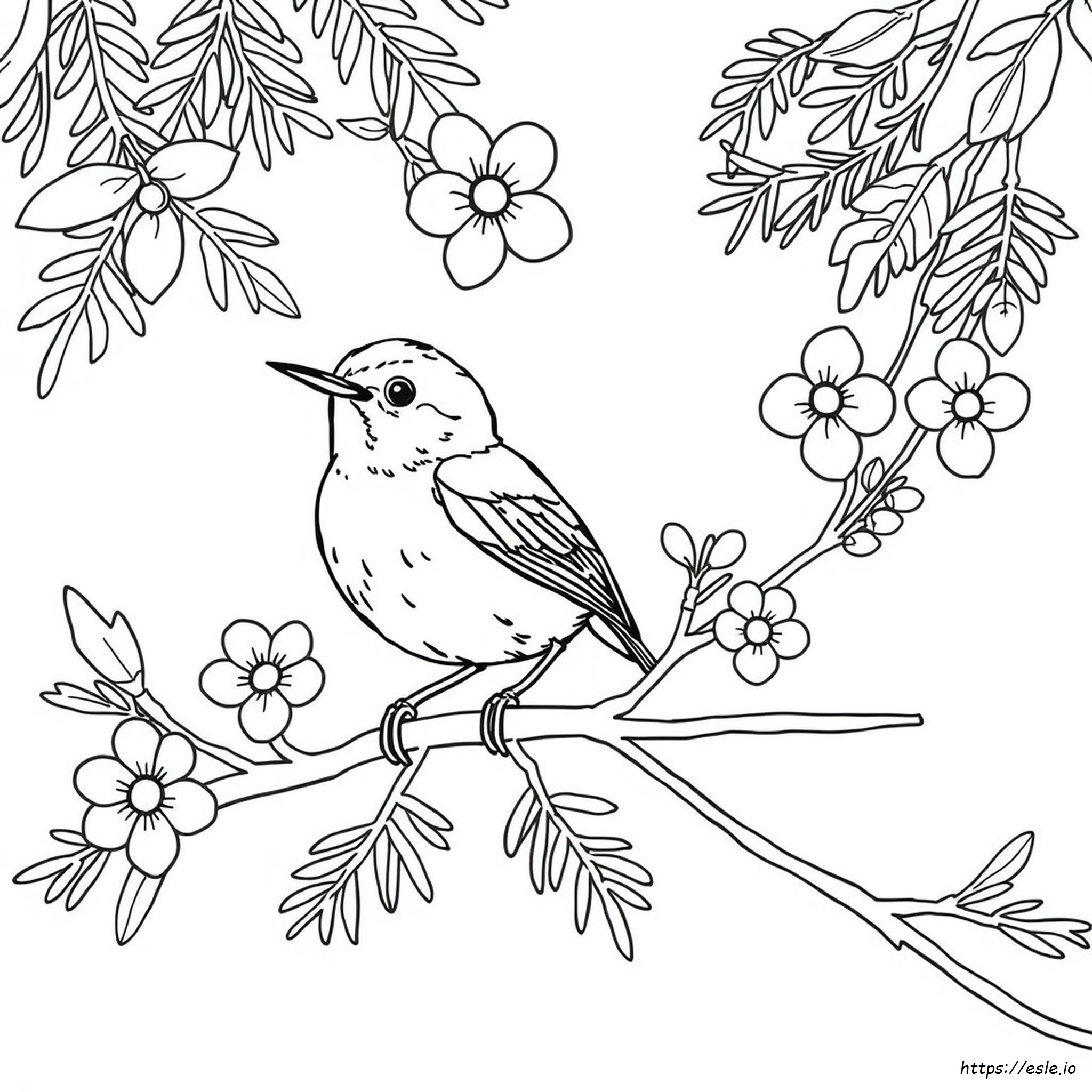 Carolina Wren Coloring Page - Free Printable