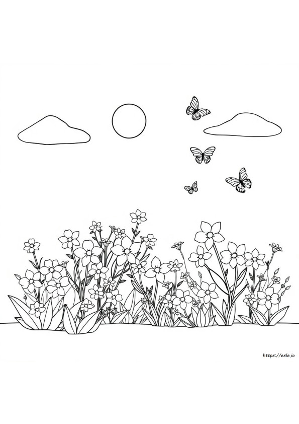 Colori Primavera
