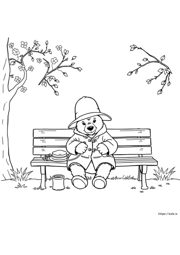 Paddington De Colorat