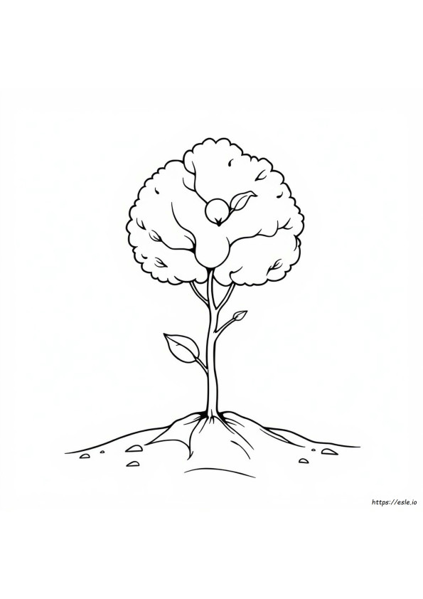 Faith Of A Mustard Seed Coloring Page