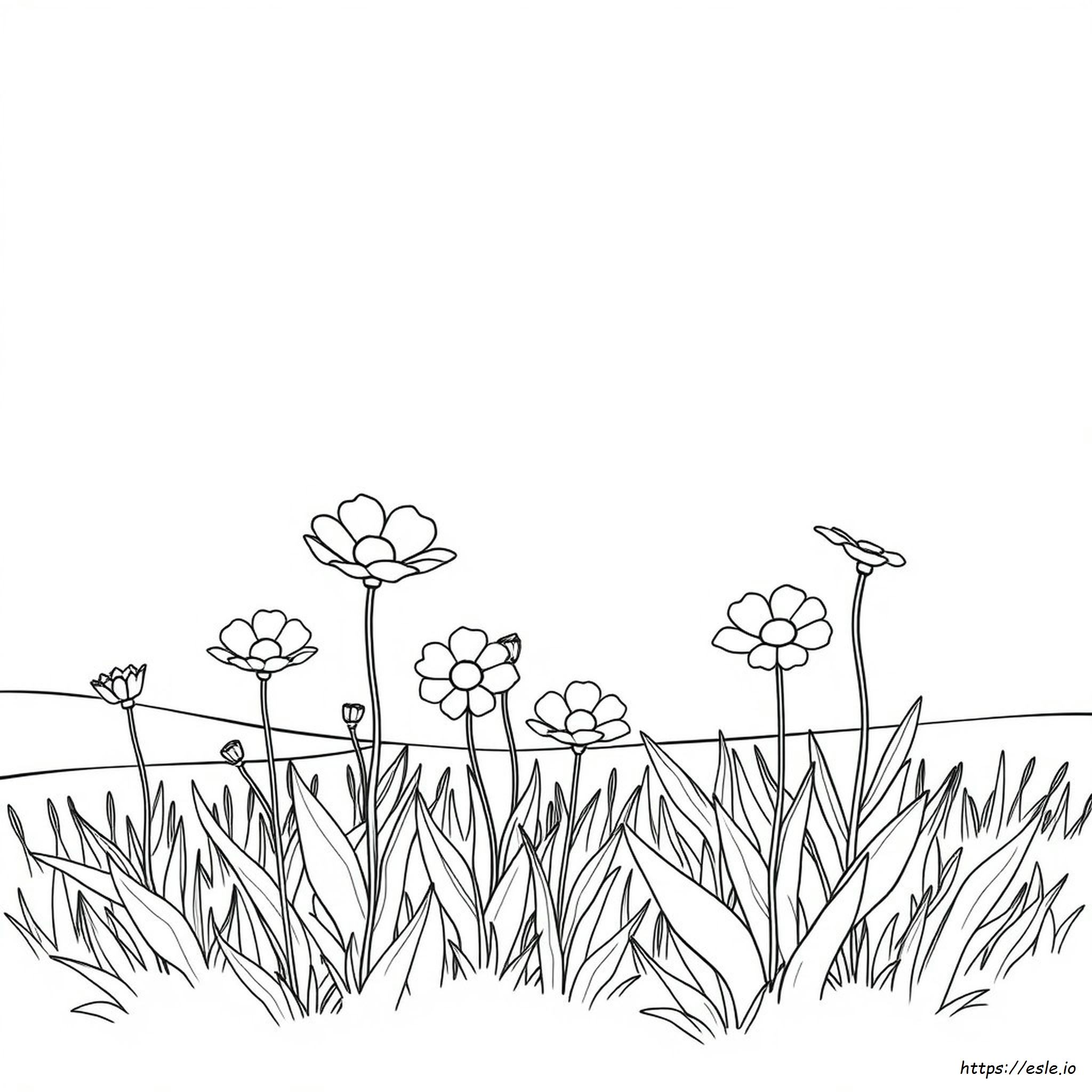 Color Pink Picture Coloring Page - Free Printable PDF
