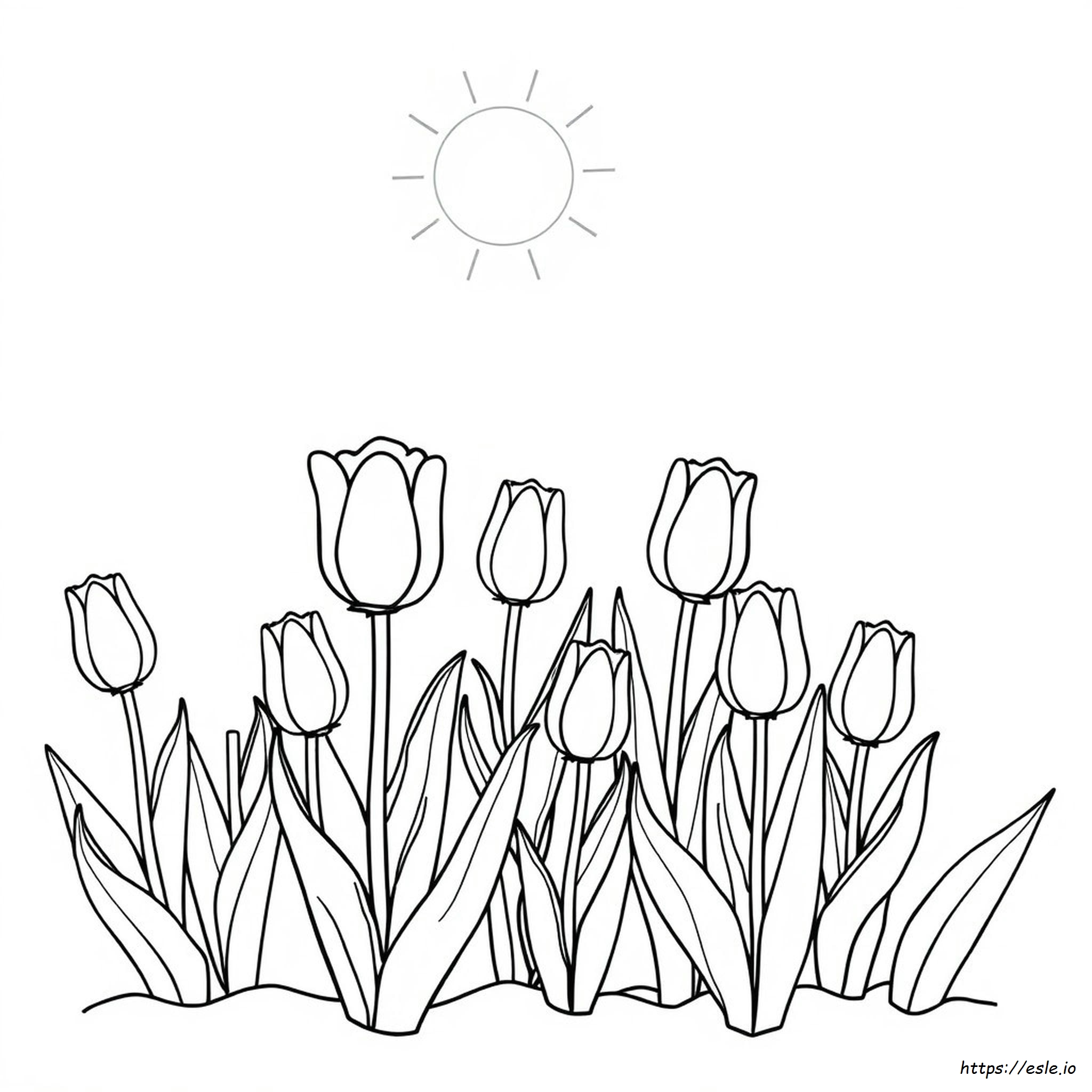 Free Coloring Pages Tulips