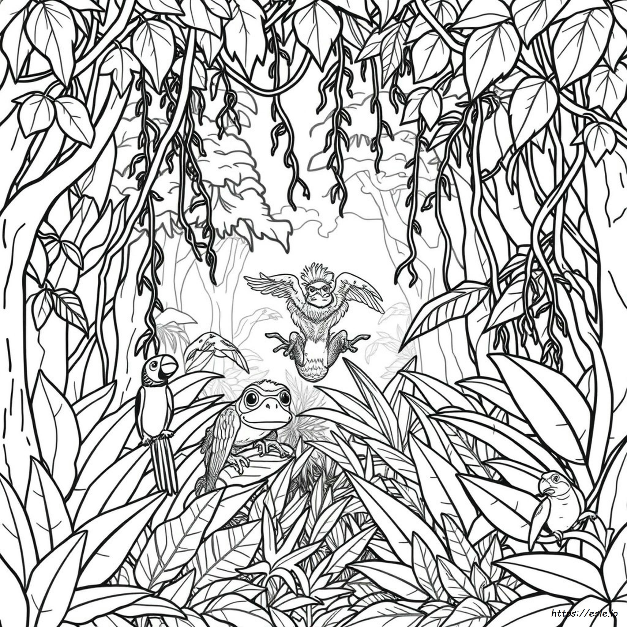 Coloring Pages Of The Rainforest