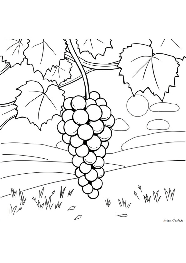 Grape Coloring Page