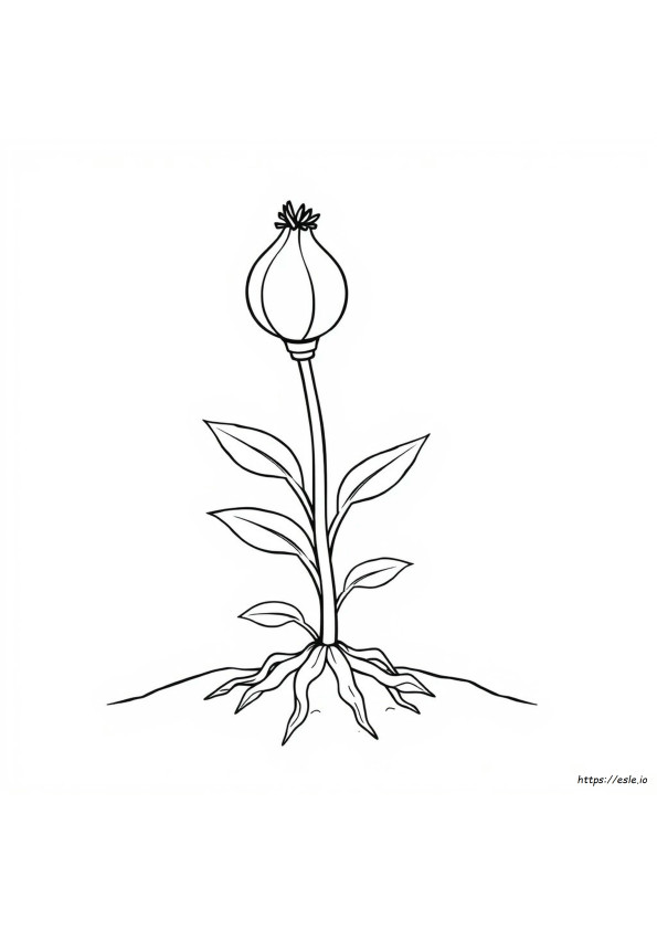 Bulb Coloring Page