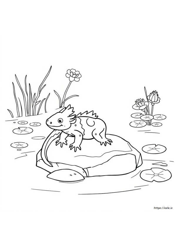 Axolotl Kleurplaten