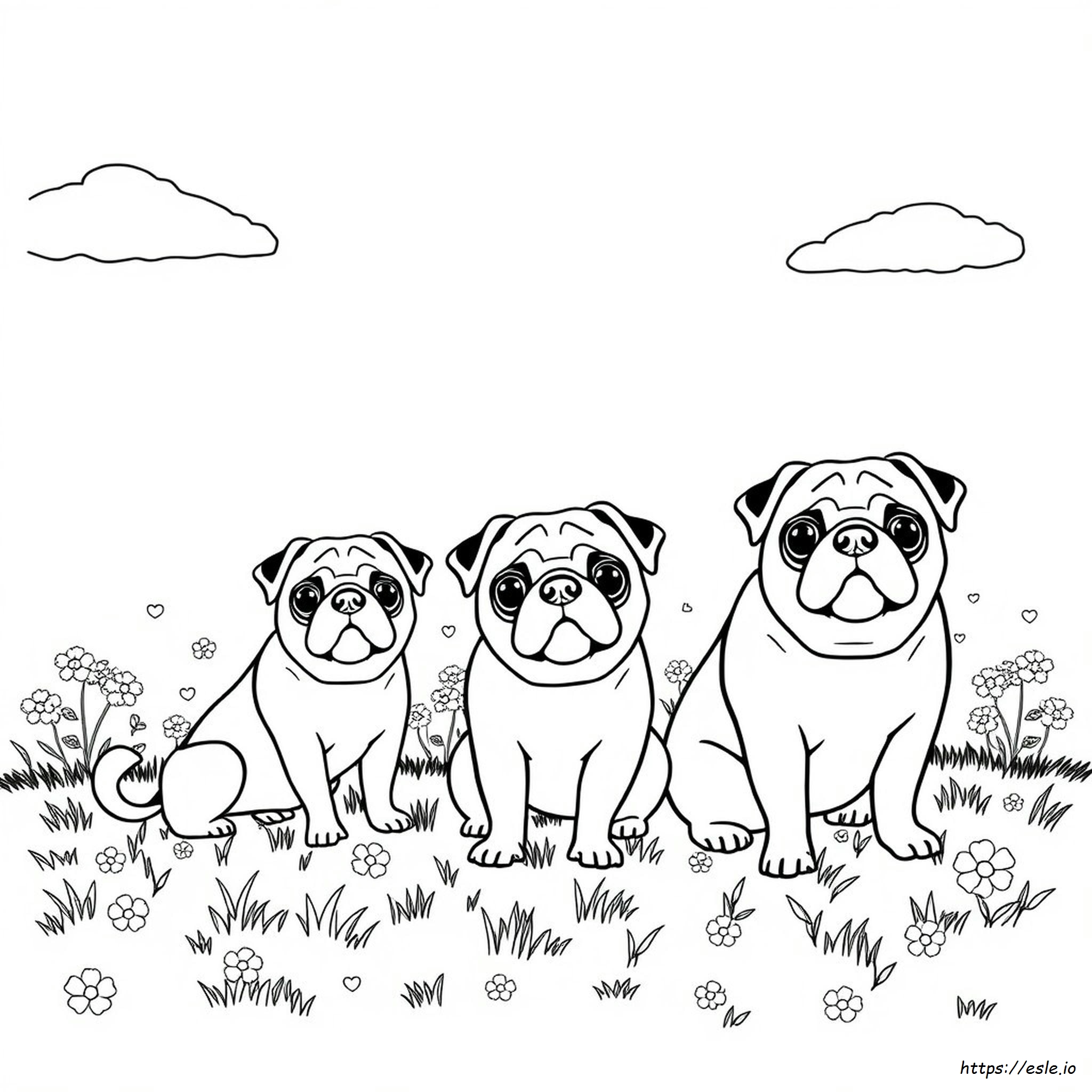 Colors Of Pug Dogs Coloring Page