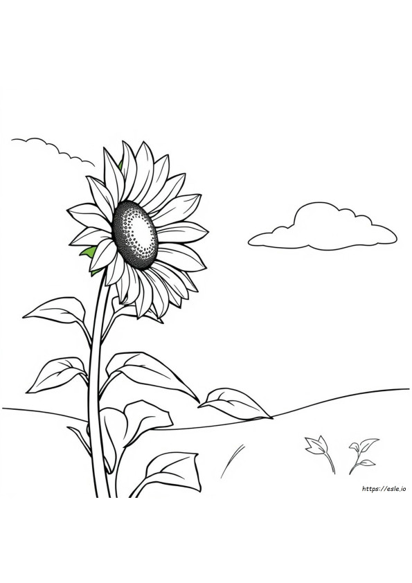 Www.Coloring Book.Info Dibujos Para Colorear