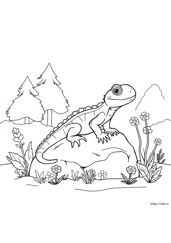 Dibujos De Reptiles Para Colorear Para Jardín De Infancia