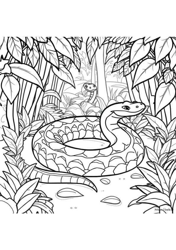 Anaconda Coloring
