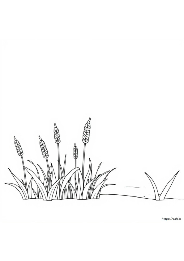 Waybuloo Colouring Pages