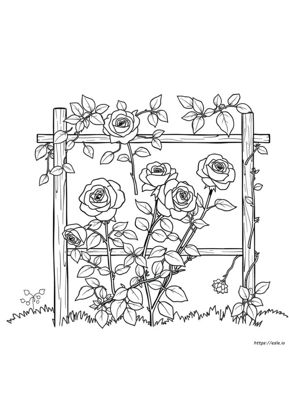 Free Coloring Pages Of Roses