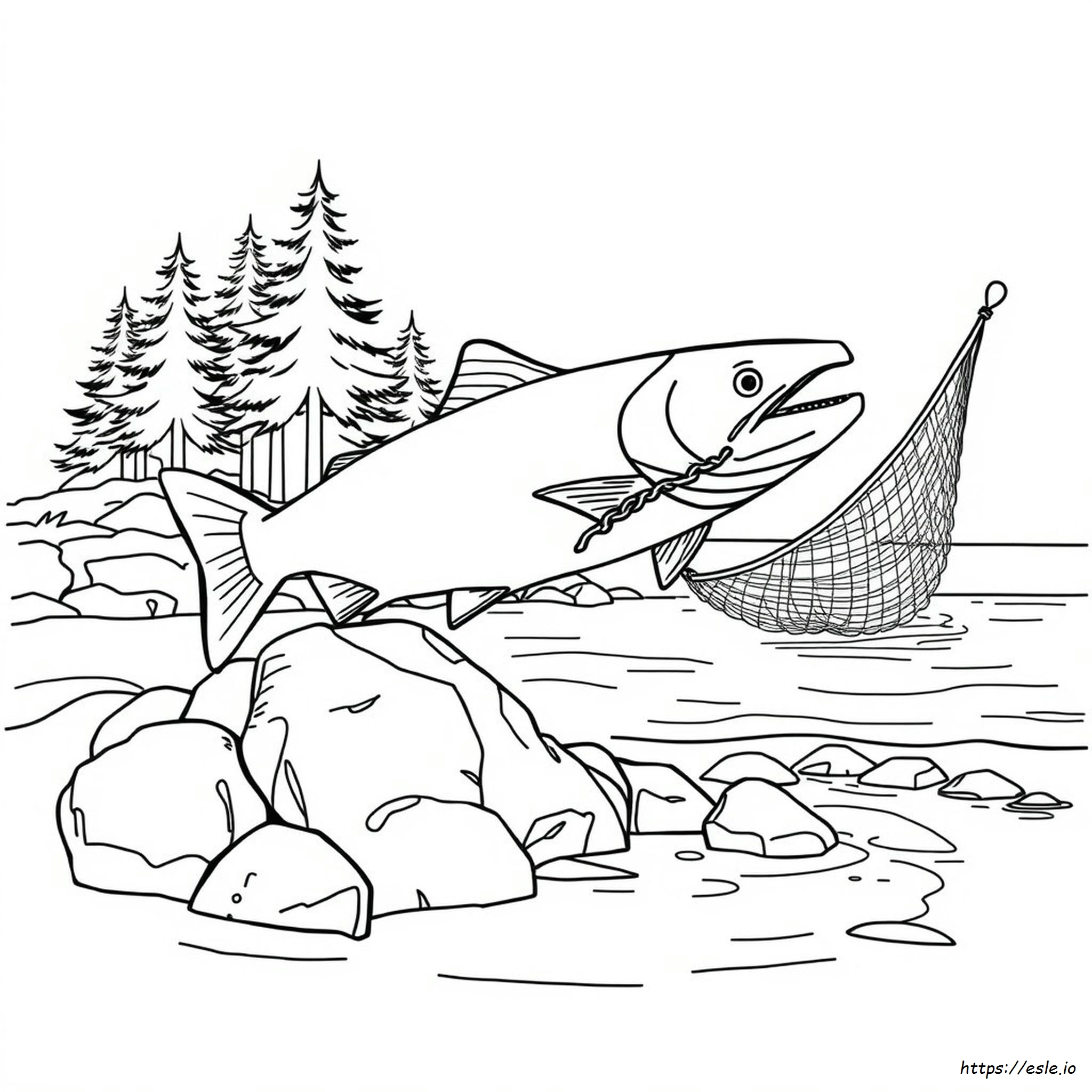 Sockeye Salmon Coloring Page