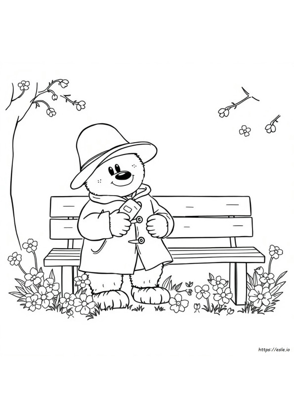 Paddington De Colorat