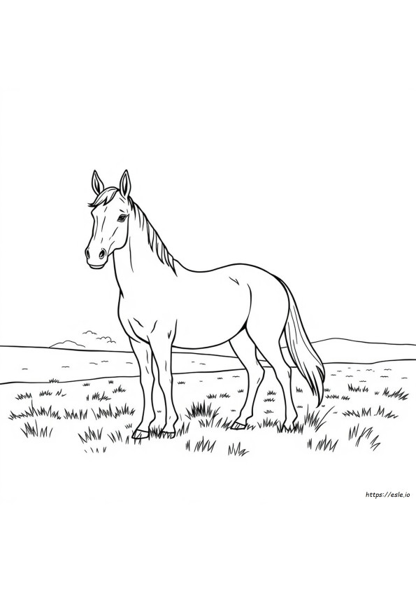 Desenhos Realistas De Cavalos Grátis Para Colorir