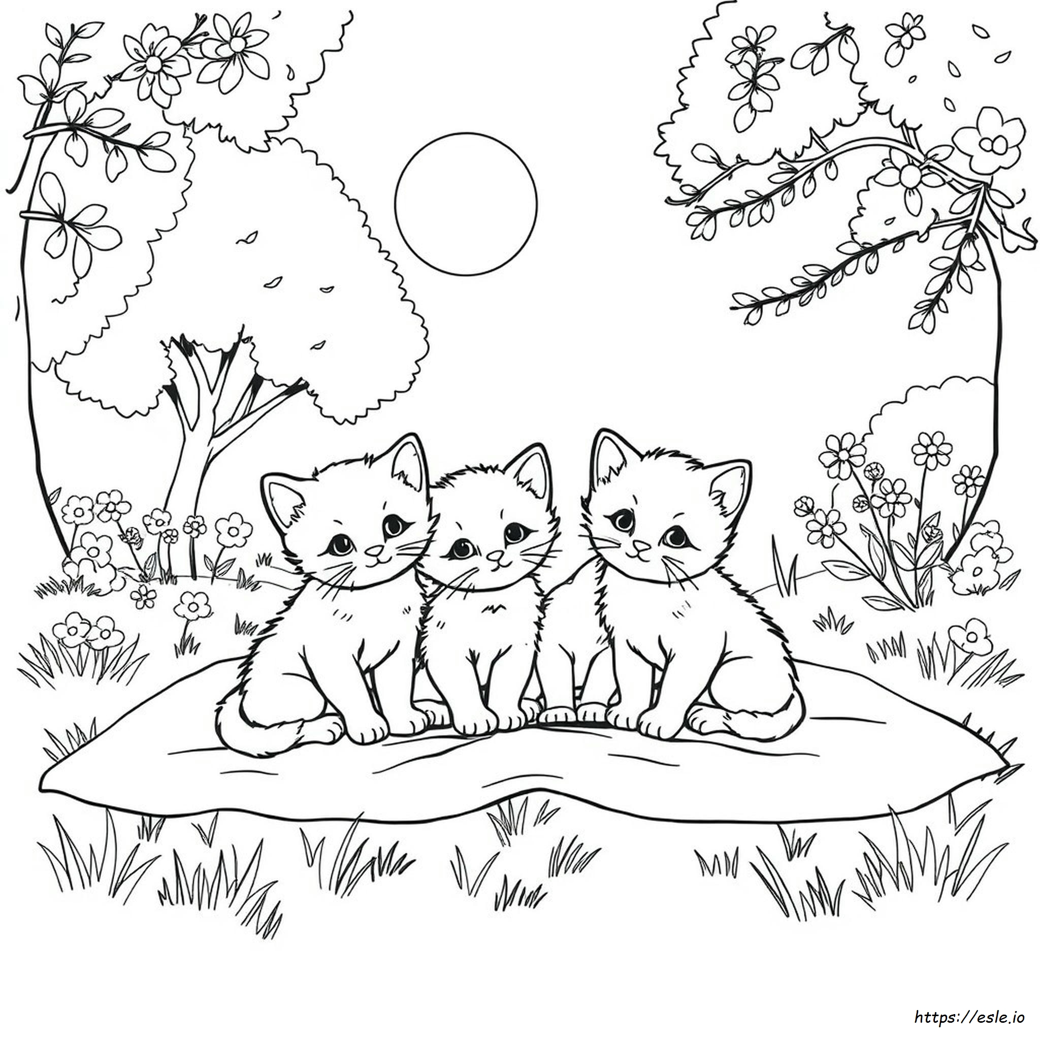 Kedi Ailesi Boyama Sayfaları