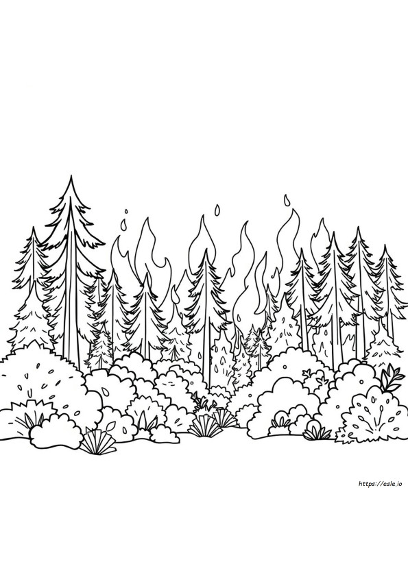 Incêndio Florestal Para Colorir