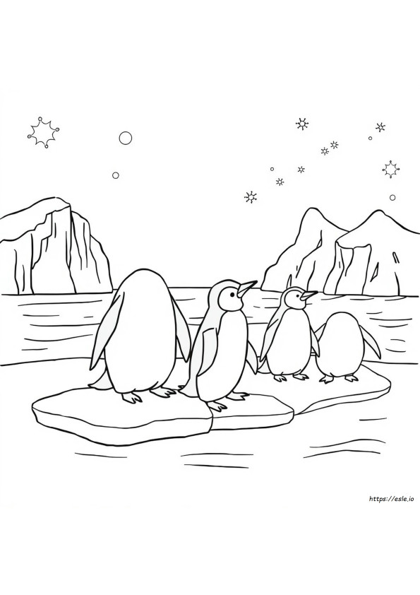 Penguin Drawing For Colouring