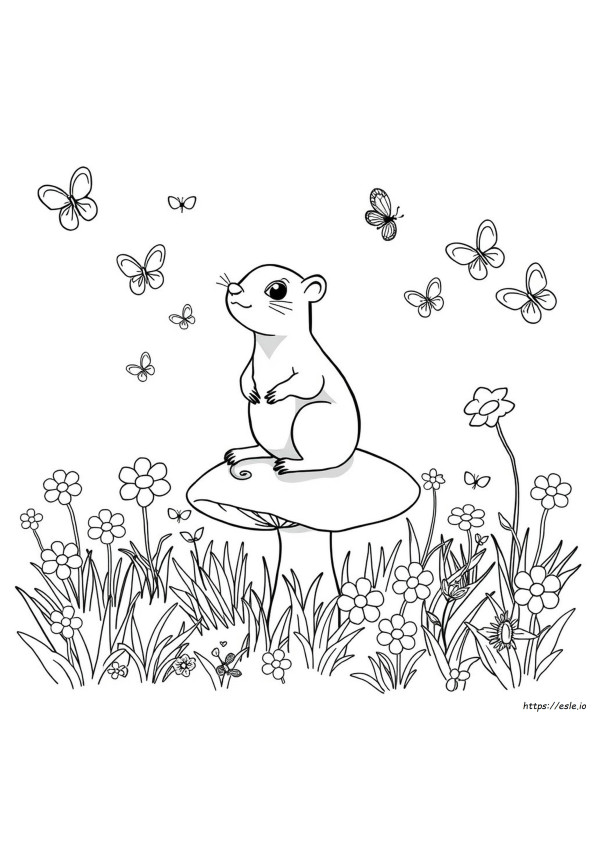 Nagetiere Ausmalbilder