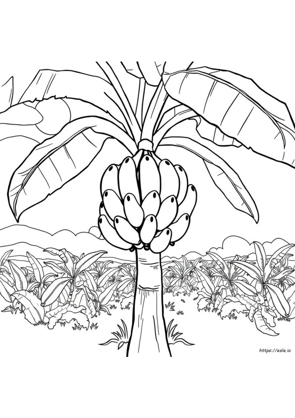 Plátanos Para Colorear