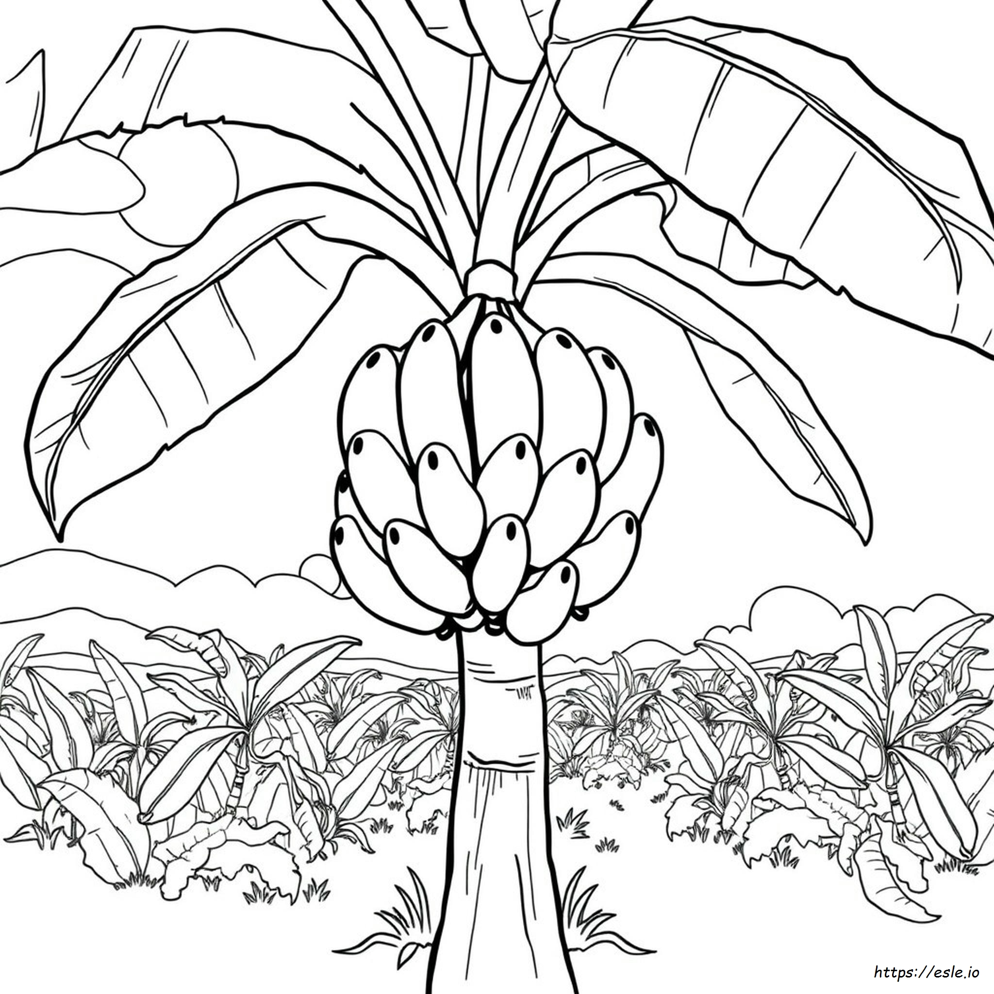Plátanos Para Colorear