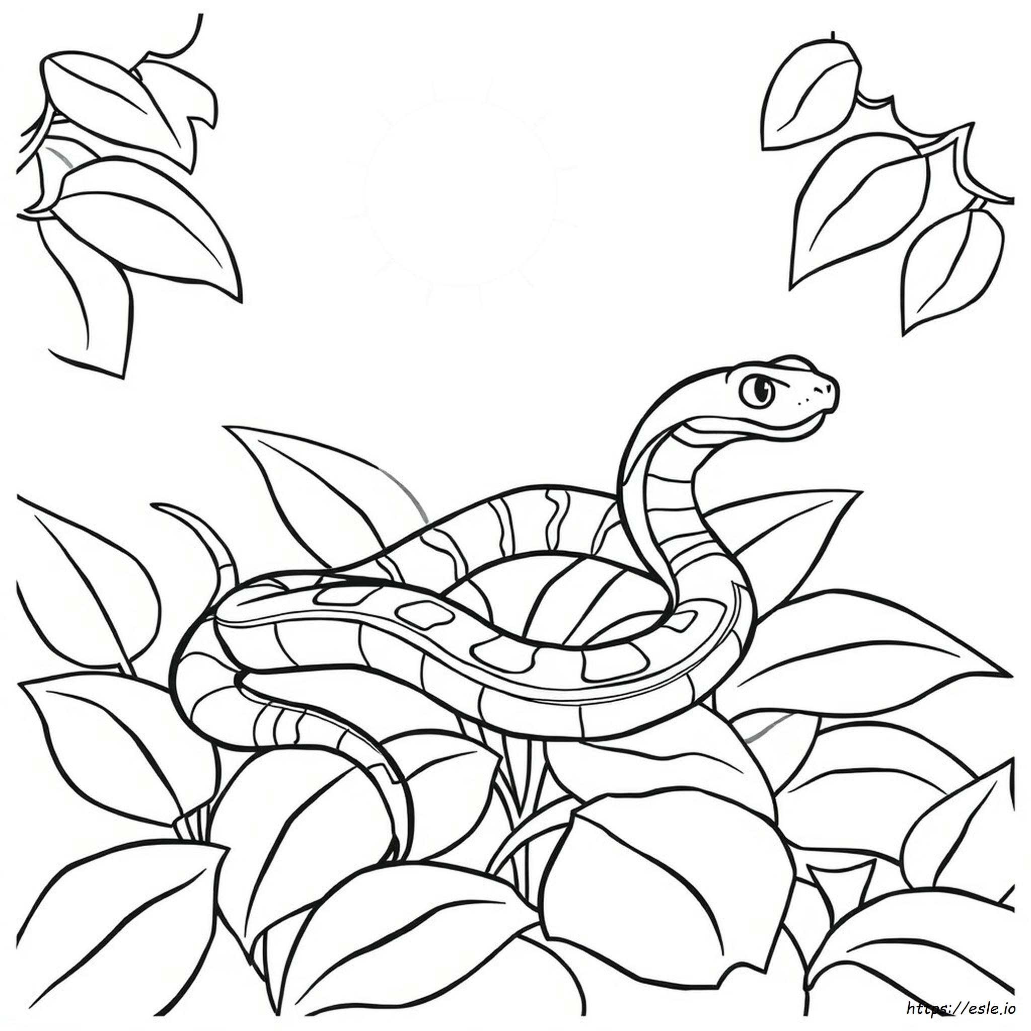 Garter Snake Coloring Page