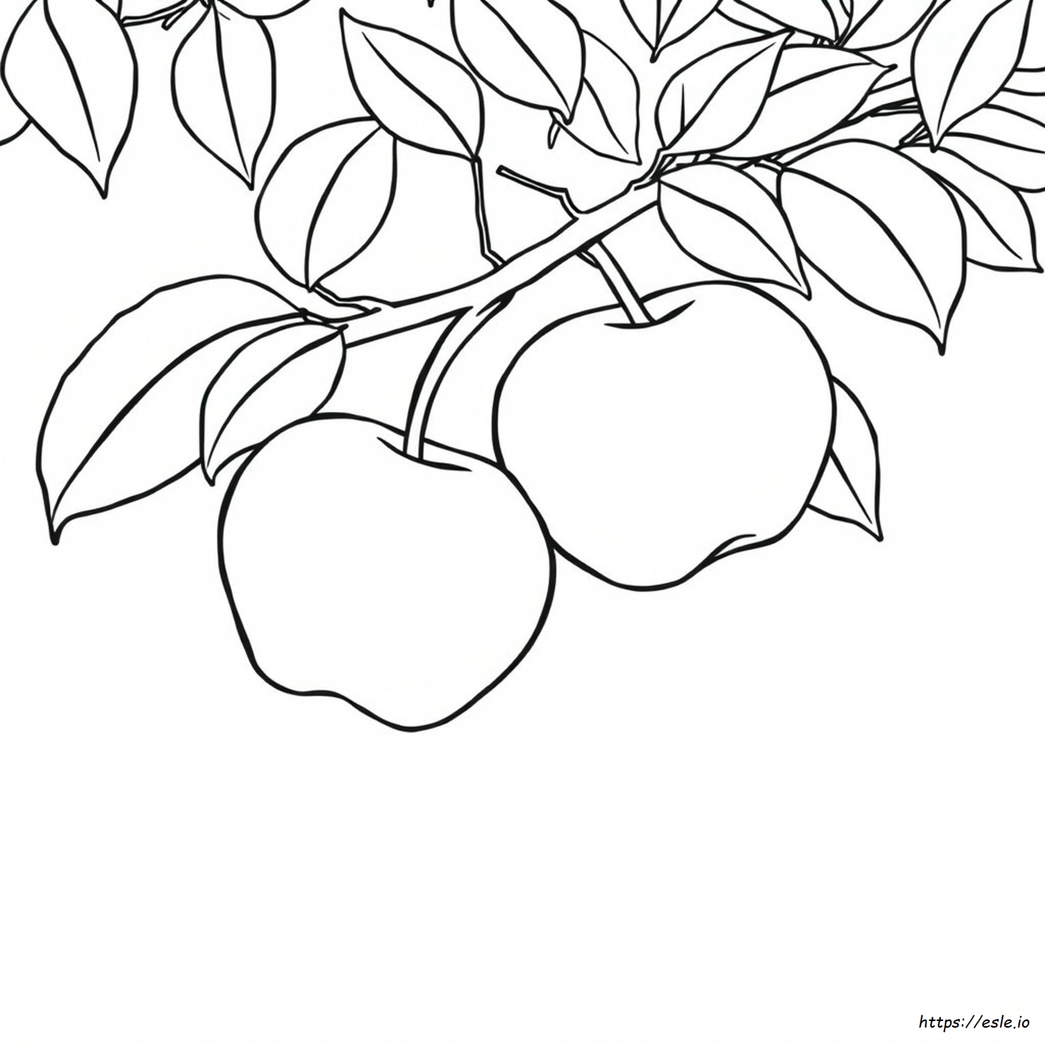 Gambar Buah Apel Untuk Mewarnai