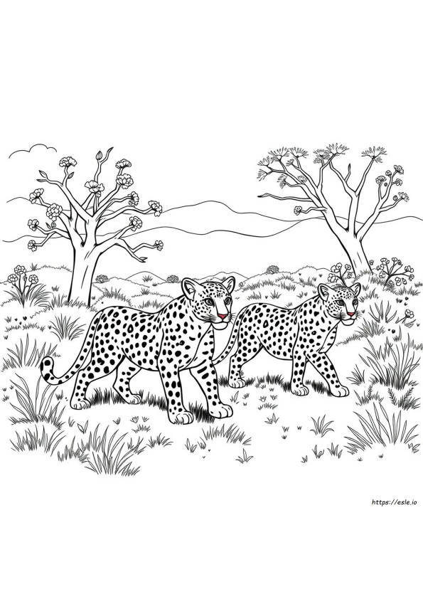 Leopard Colouring Pictures