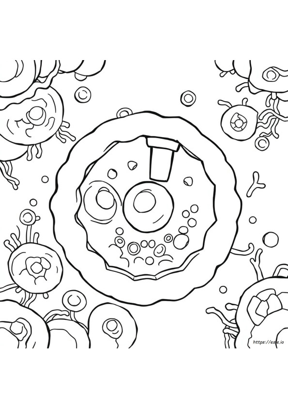 Coloriages De Cellules