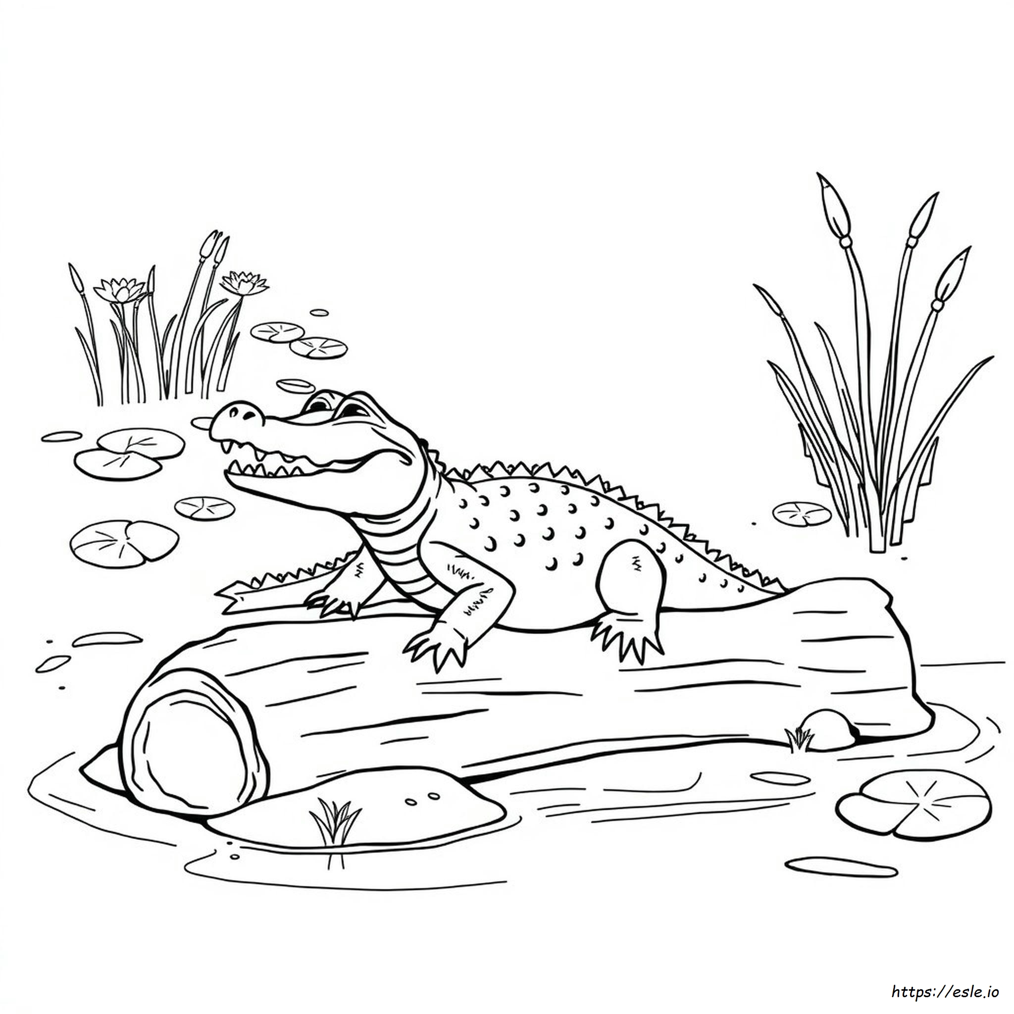 American Alligator Coloring Page