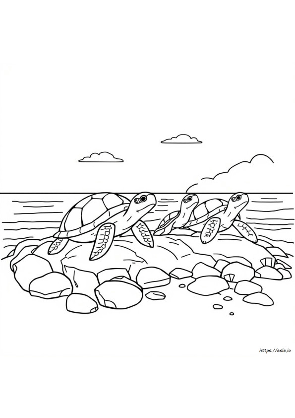 Disegni Da Colorare Di Tartarughe Gratis E Stampabili