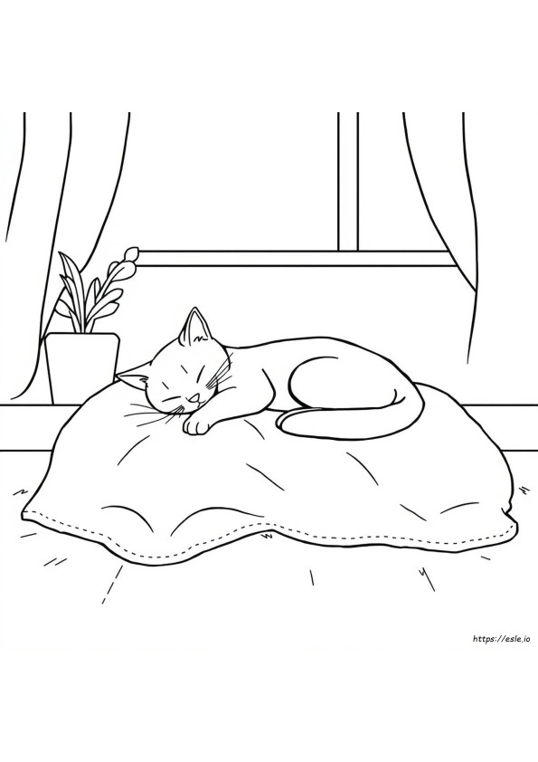 Catnap Colouring Pages