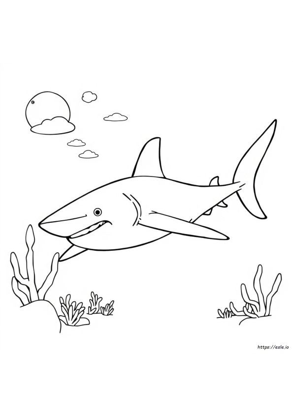 Hammerhead Shark Coloring