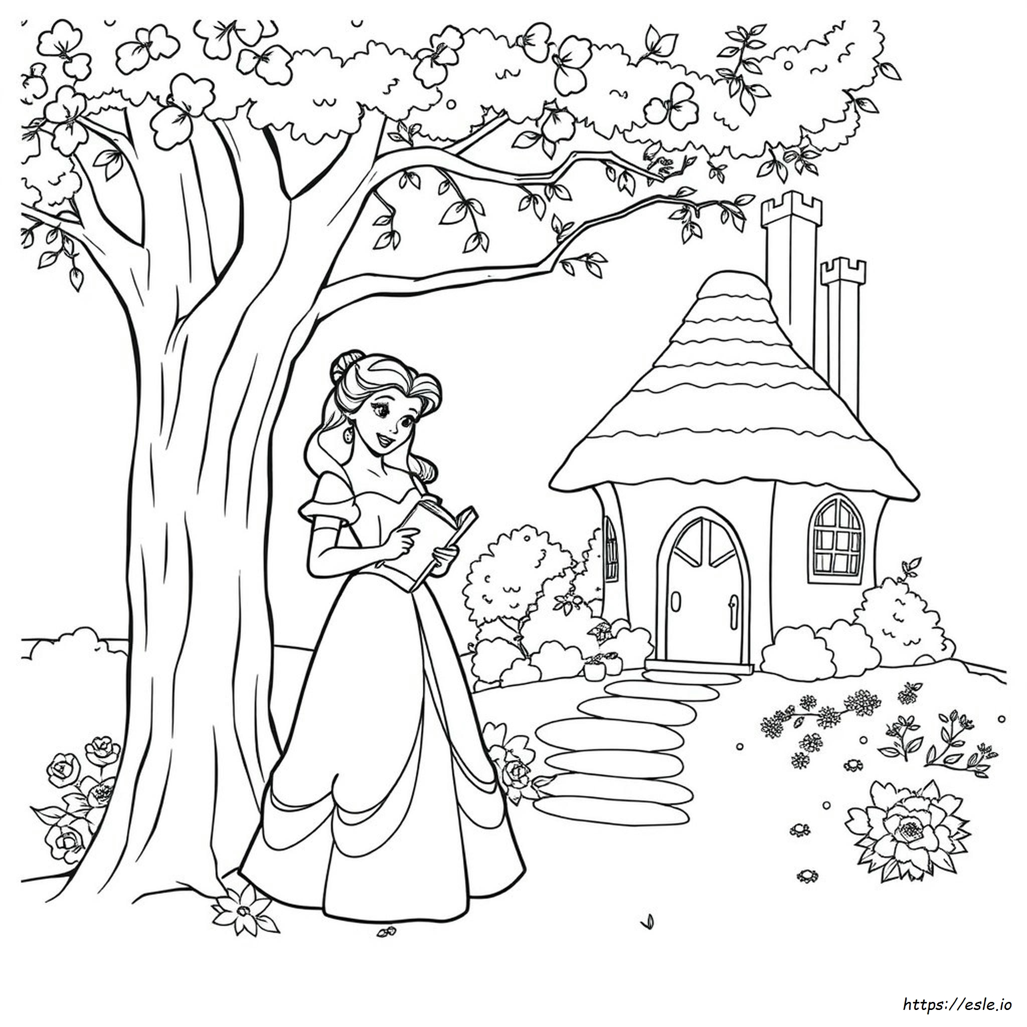 Belle Disney Da Colorare