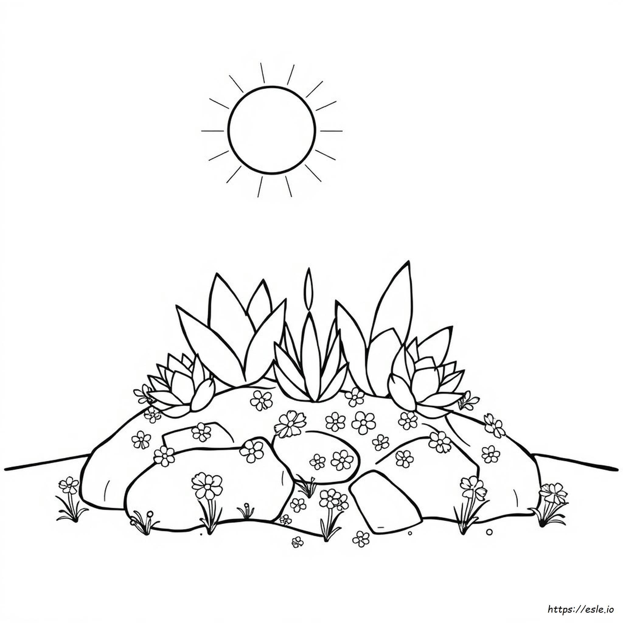 Free Printable Succulent Coloring Pages