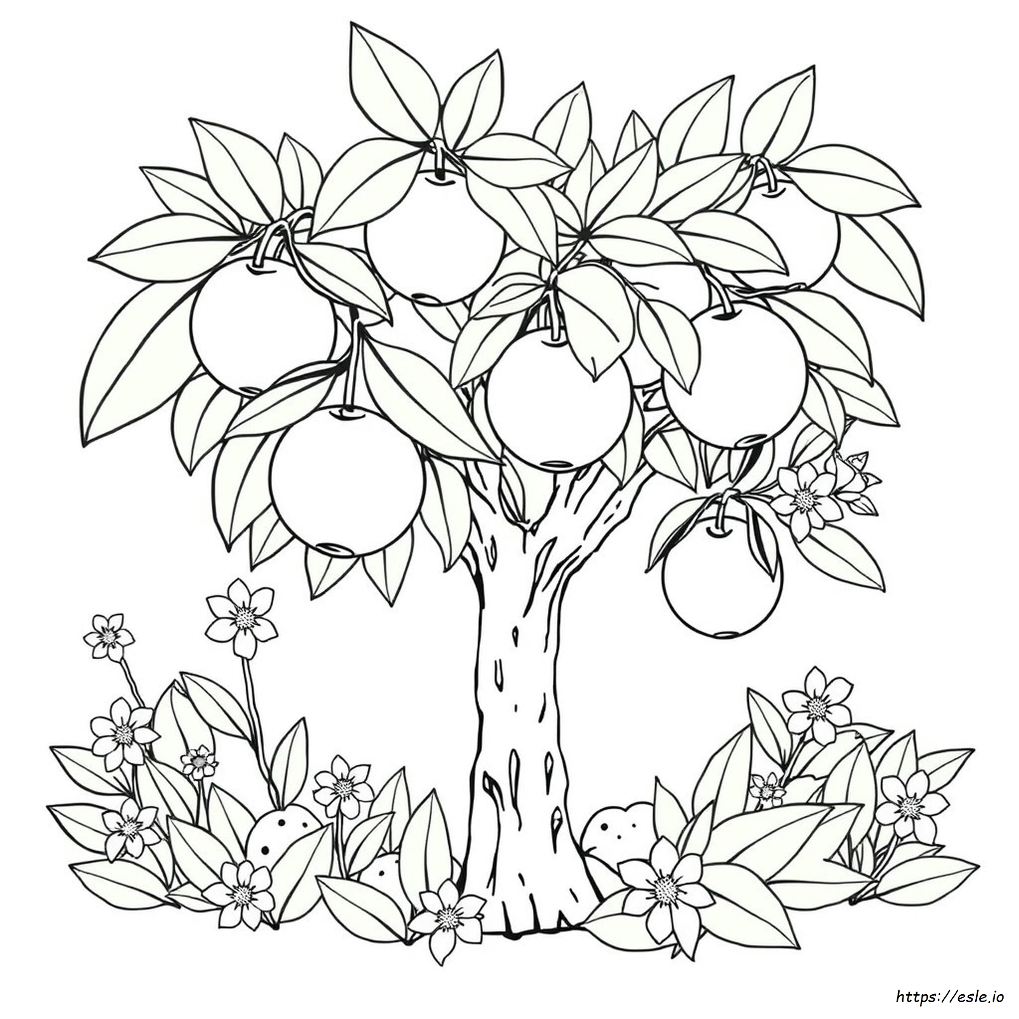 Citrus Coloring Pages