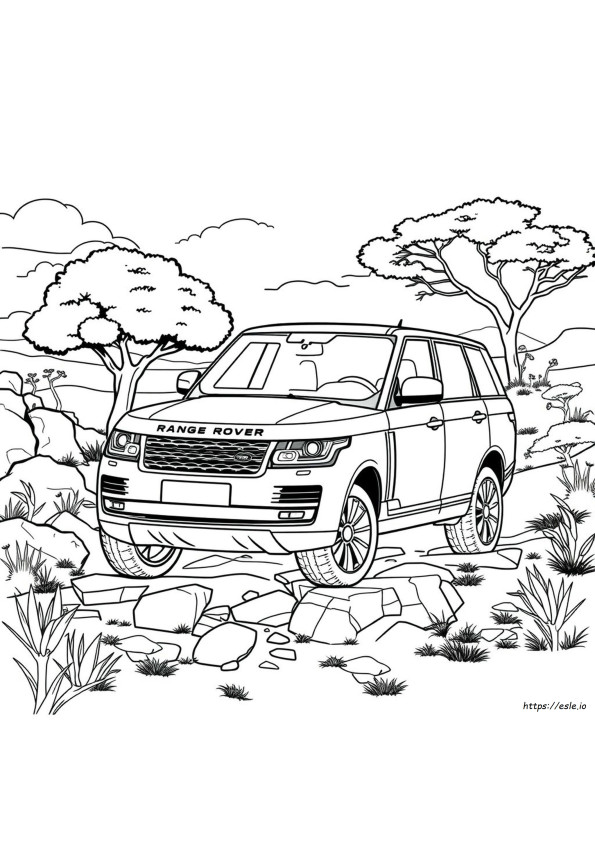 Range Rover De Colorat