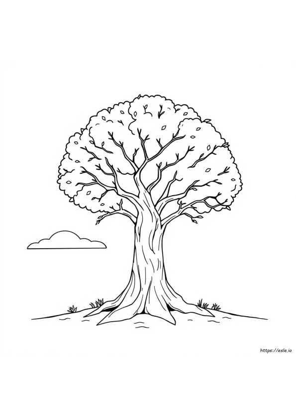 Printable Wisdom Coloring Page