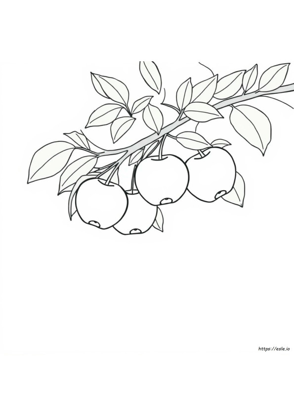 Dibujo Para Colorear De Manzanas
